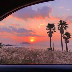 大妈俱乐部小说
