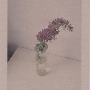 大妈俱乐部小说
